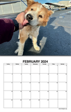 2024 Flying Fur Calendar