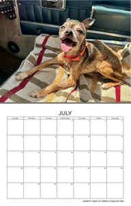 2025 Flying Fur Calendar