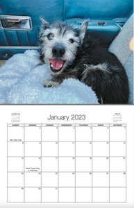 2023 Flying Fur Calendar